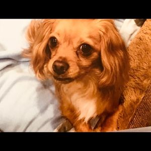 Meet your Posher, Kathy